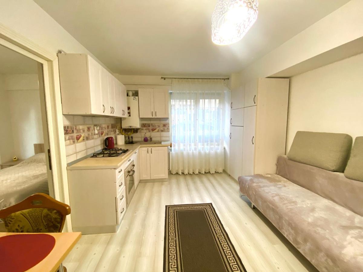 Apartament Sara Apartment ยาช ภายนอก รูปภาพ